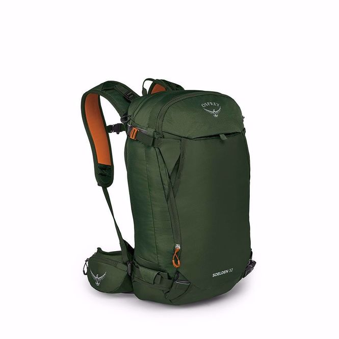 Hovedbilde Soelden 32, Dustmoss Green